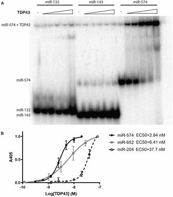Cytoplasmic TDP43 Binds microRNAs: New Disease Targets in Amyotrophic Lateral Sclerosis